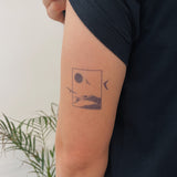 Window with nature and swallows