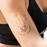 Harry Potter Bundle of 3 Bestseller Tattoos