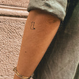 Fox With A Tipped Tail