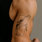 Blue Whale in Rectangle Tattoo