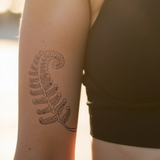 Fern leaf tattoo