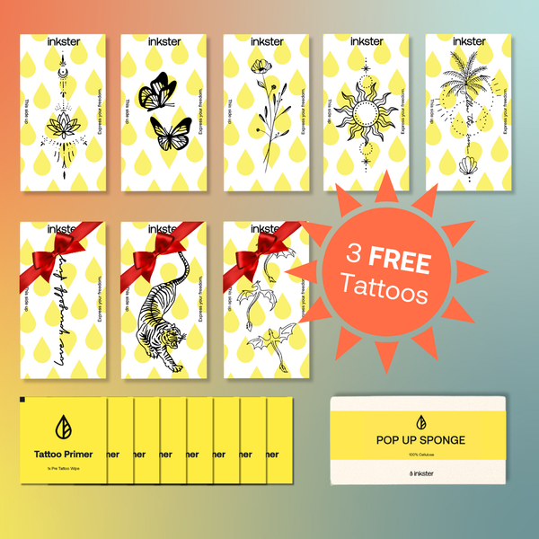 Summer Deluxe Starter Set Deal