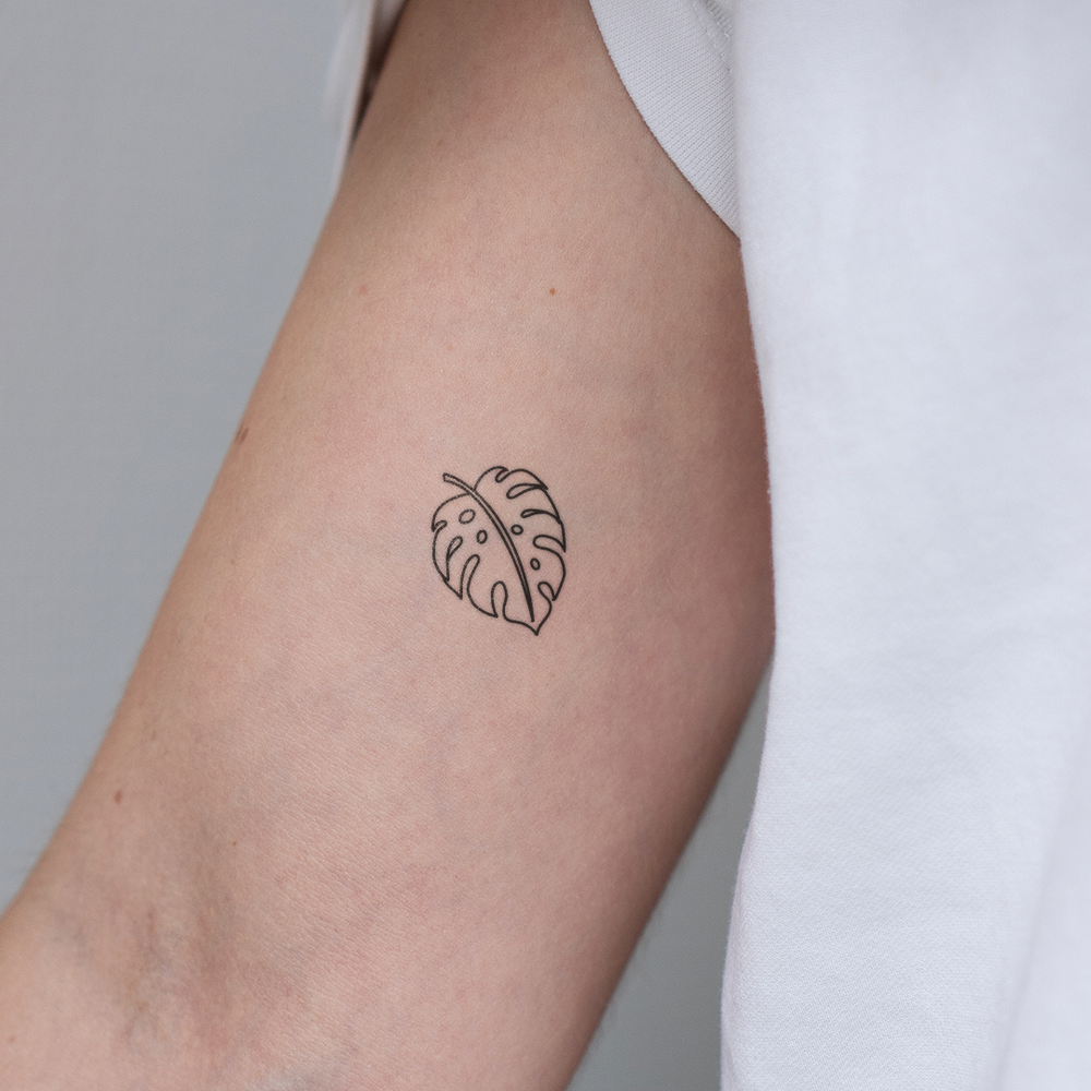Small Monstera Tattoo | 2 week temporary tattoo