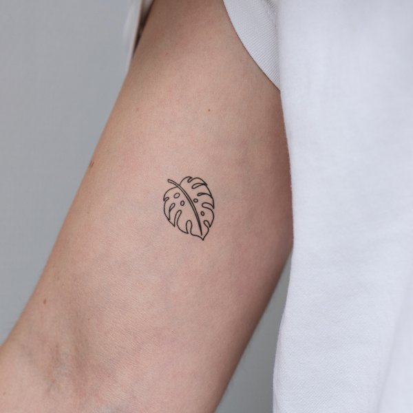 Small Monstera Tattoo | 2 week temporary tattoo
