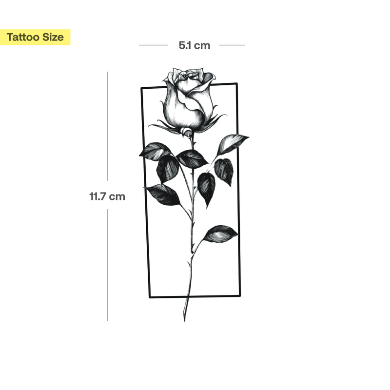 Rose with Frame Tattoo