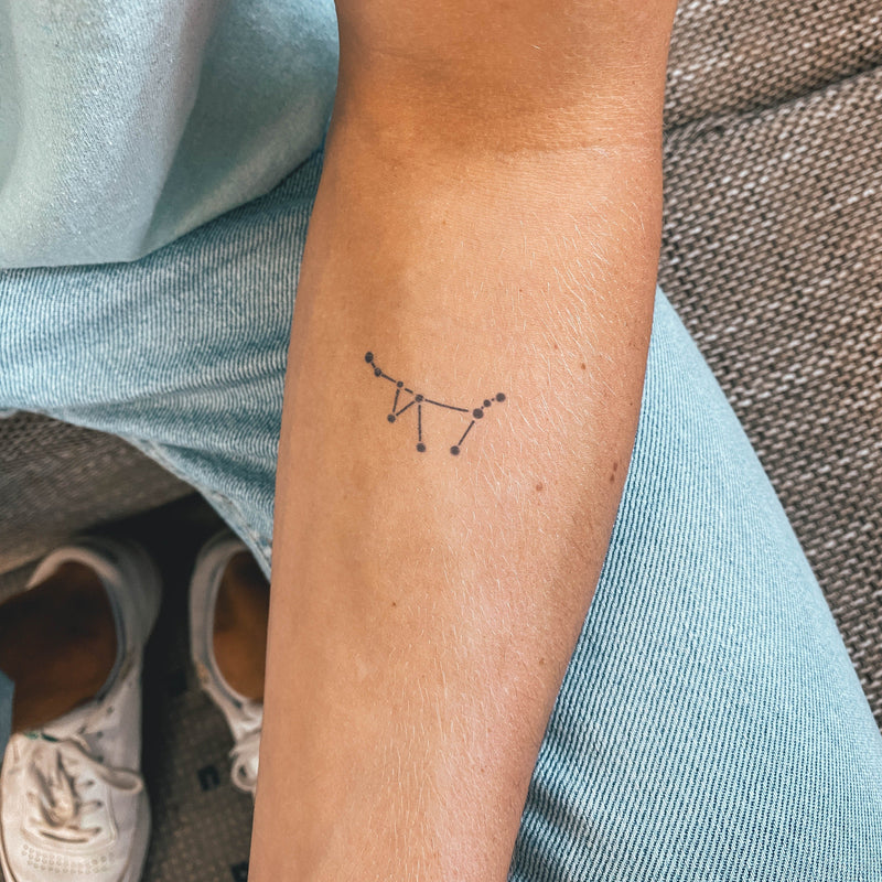 25 Leo Constellation Tattoo Designs, Ideas and Meanings - Tattoo Me Now |  Leo constellation tattoo, Constellation tattoos, Small wrist tattoos